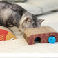 🔥Hot sale-50% Off🔥The Perfect Toy for Your Cat—With a Twist!😎