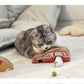 🔥Hot sale-50% Off🔥The Perfect Toy for Your Cat—With a Twist!😎