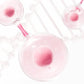 ✨Hot new products💞Matte Rotating Smooth Lasting Lip Glaze💞