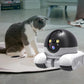 🔥2025 Hot New Product👉Mobile Pet Robot Camera [HD Wireless Intelligent Remote]💥Limited Time Special: 50% - FREE SHIPPING⚡!