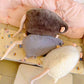 🐭💖Cute Plush Rat Toy & Pillow🎉Limited-time offer: Everything 50% off