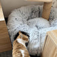 🐾 2-in-1 foldable tunnel bed for cats – Soft, warm, and perfect for indoor use!