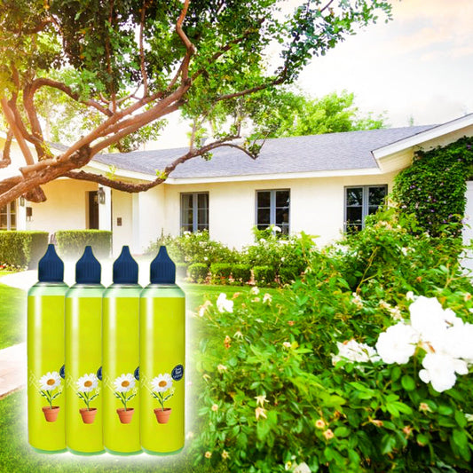 🌱 BUY 2 GET 1 FREE! 🏡 All-Purpose Plant Food – for Indoor & Outdoor Plants, Easy to Use & Fast Results ✨